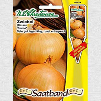 Ceapă Sturon imagine 6