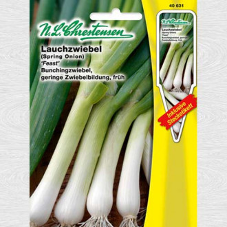 Ceapă verde Feast imagine 8