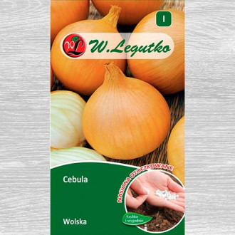 Ceapă Wolska imagine 17