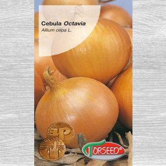 Cebula Octavia interface.image 15