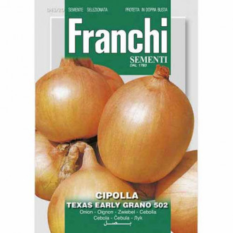 Cebula Texas Early Grano 502 Morami interface.image 15