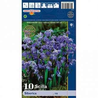 Cebulica syberyjska interface.image 3