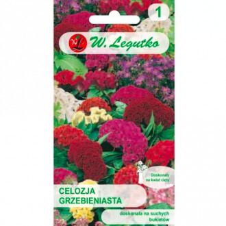 Celozja grzebieniasta, mix interface.image 1
