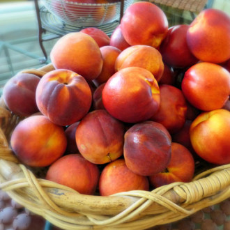 Нектарина Orion изображение 11