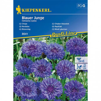 Chaber blawatek pelny Blauer Junge interface.image 3