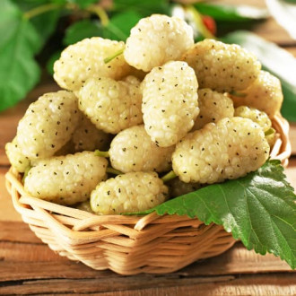 Черница бяла, P9 изображение 17