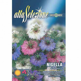 Chica voinicului imagine 1