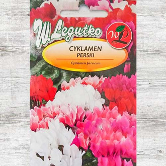 Ciclamă Dama F1, mix multicolor imagine 2