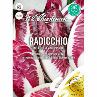 Cicoare albă (radicchio) Rossa di Treviso precoce Chrestensen imagine 4