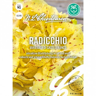 Cicoare albă (radicchio) Variegata di Castelfranco imagine 2