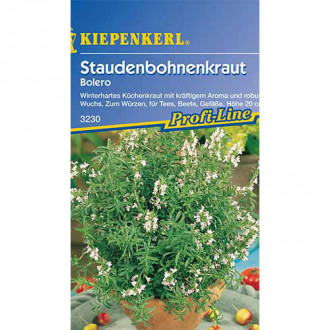 Cimbru de iarnă Bolero Kiepenkerl imagine 14