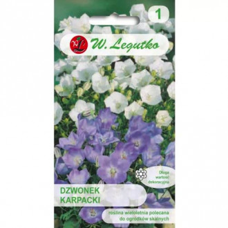 Clopoțel alb carpatic Legutko imagine 18