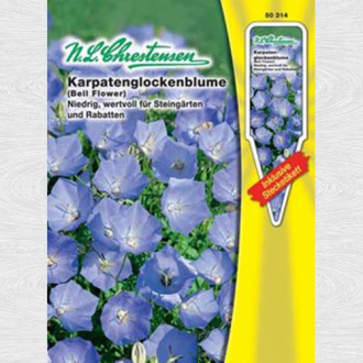 Clopoțel carpatin imagine 12