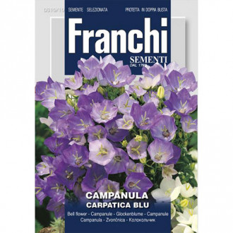 Clopoțel (Campanula) Carpatica Blue imagine 10