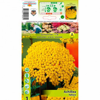 Coada șoricelului (Achillea) Yellow imagine 4