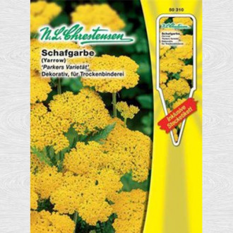 Coada șoricelului Parker's variety imagine 6