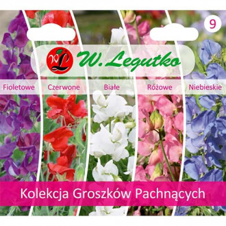 Colecție de lathyrus odoratus (Sângele voinicului), pachet cu 5 soiuri imagine 16