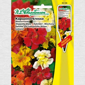 Condurul doamnei Double Shine, mix multicolor imagine 10