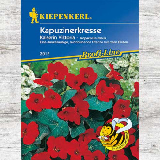 Condurul doamnei Queen Victoria imagine 13