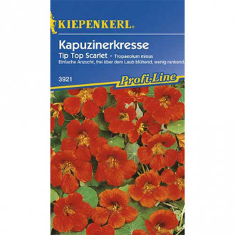 Condurul doamnei Tip Top Scarlet Kiepenkerl imagine 8