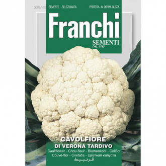 Conopidă di Verona Tardivo imagine 10