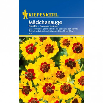 Coreopsis Bicolor imagine 1