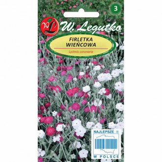 Lychnis chalcedonica, mix multicolor imagine 2