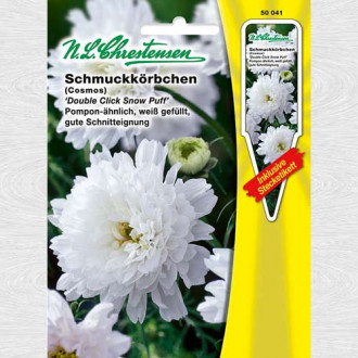 Cosmos (Mărărițe) Click Snow Puff imagine 12
