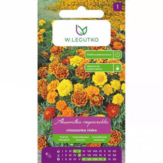 Crăițe, mix multicolor imagine 2