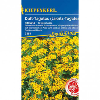 Crăițe Anisata Kiepenkerl imagine 17