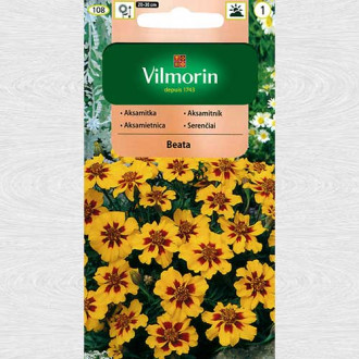 Craite Beata imagine 1