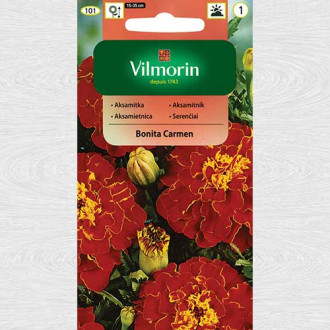 Craite Bonita Carmen imagine 17