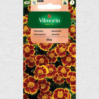 Craite Eliza imagine 11