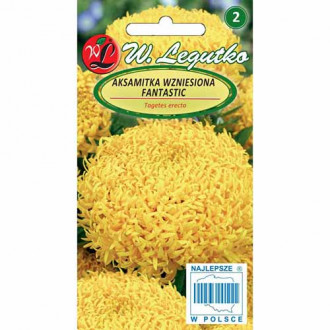 Crăițe galbene Fantastic imagine 1