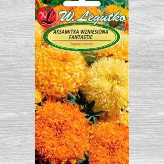 Crăițe Fantastic, mix multicolor imagine 18