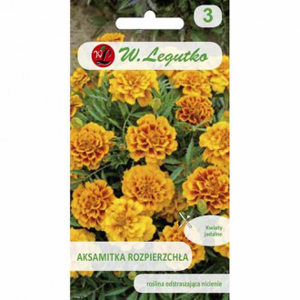 Crăițe Queen Sophia imagine 9