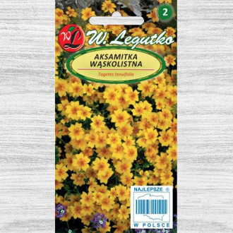 Crăițe Golden Gem Legutko imagine 9