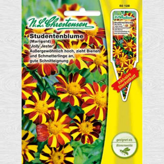 Crăițe Jolly Jester imagine 1