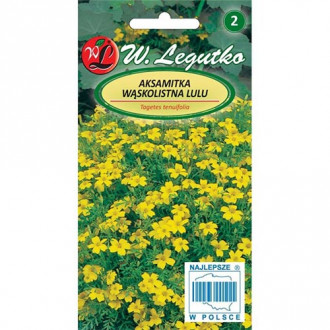 Crăițe Lulu Legutko imagine 6