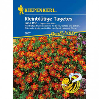 Crăițe Luna Rot imagine 11