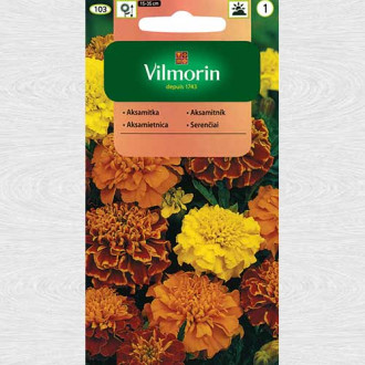 Craite, mix multicolor (Vilmorin) imagine 6