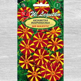 Crăițe Mr. Majestic Legutko imagine 18