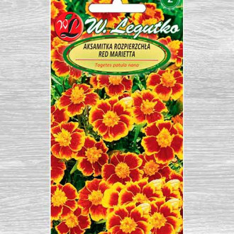 Crăițe Red Marietta Legutko imagine 5