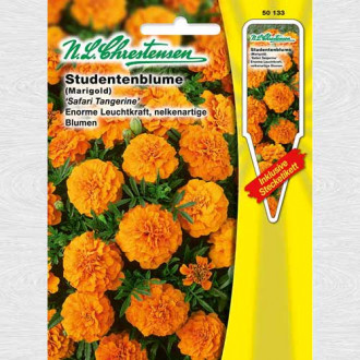 Crăițe Safari Tangerine imagine 2