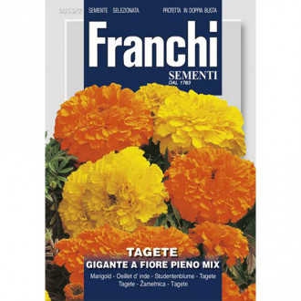 Crăițe gigant cu flori pline, mix multicolor imagine 5