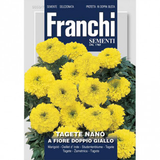 Crăițe pitice cu flori duble galbene imagine 4