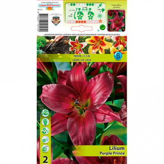 Crin Purple Prince imagine 2