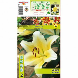 Crin Manissa imagine 7