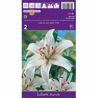 Crin Marseille imagine 2