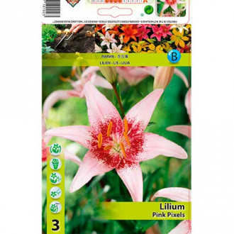 Crin Pink Pixels imagine 10